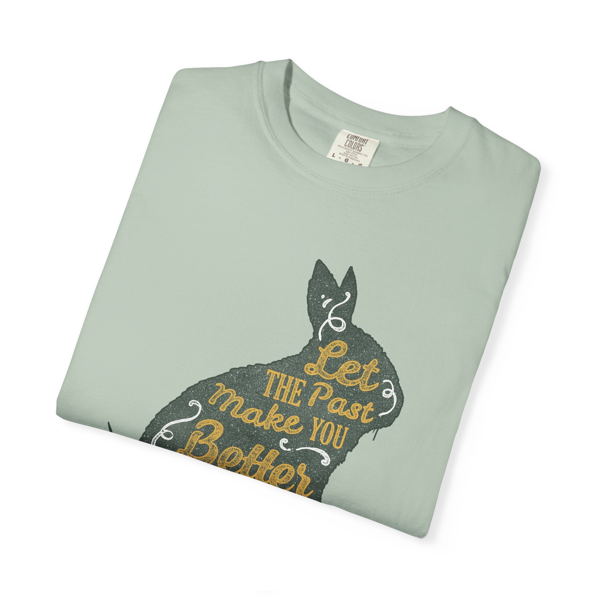 Let the Past Make You Better Graphic on Rabbit T-Shirt - Sinful Threads