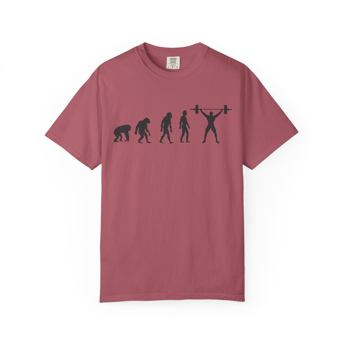 Progression Fitness Shirt - Gym Evolution Design Tee - Sinful Threads