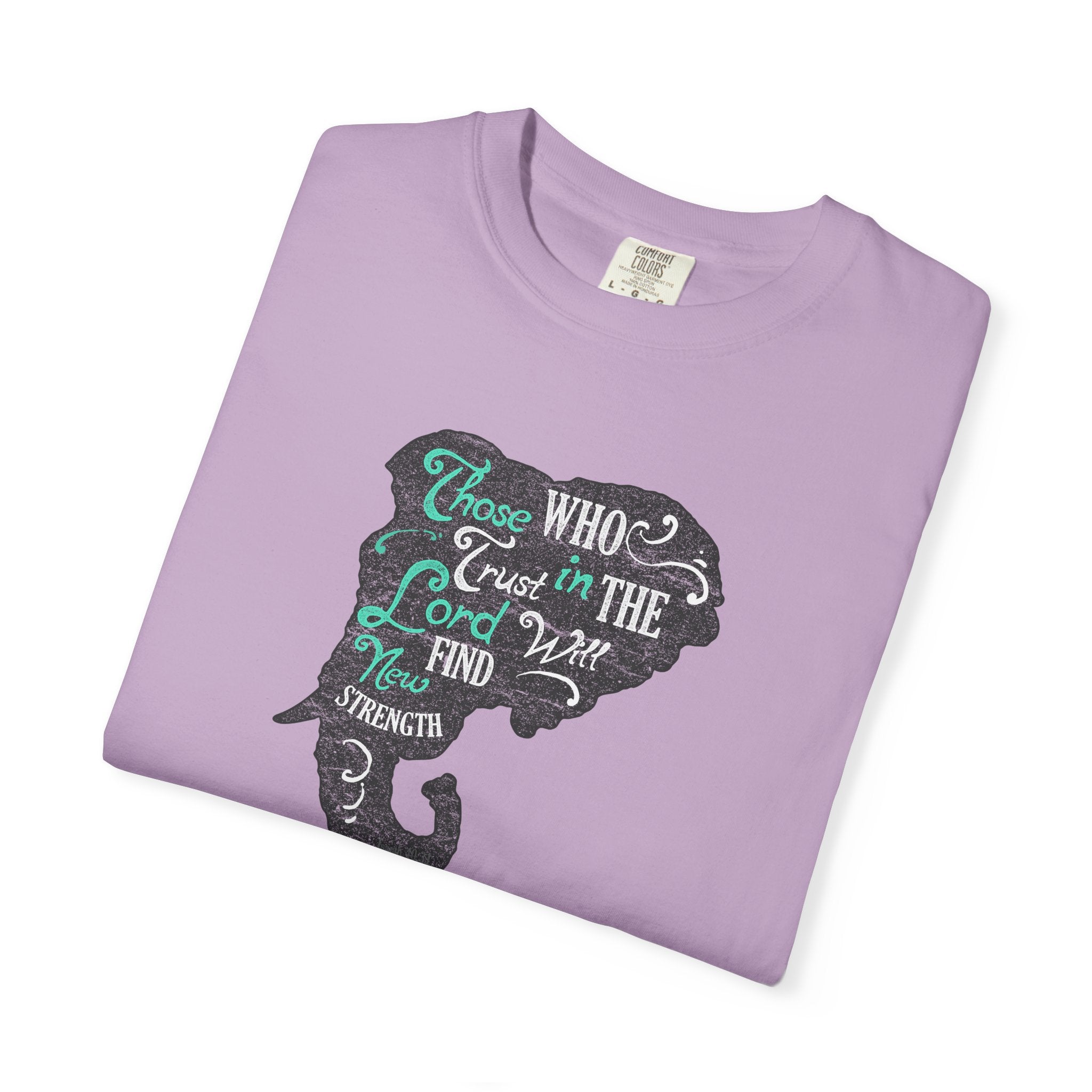 Trust in the Lord Will Find Strength Christian T-Shirt - Sinful Threads