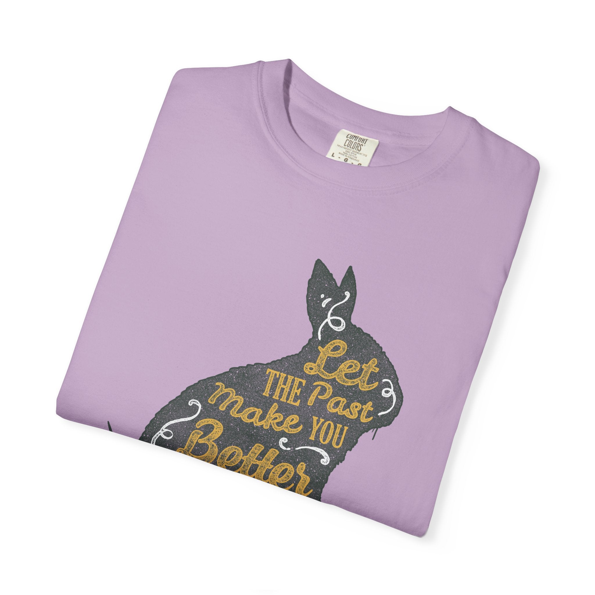 Let the Past Make You Better Graphic on Rabbit T-Shirt - Sinful Threads