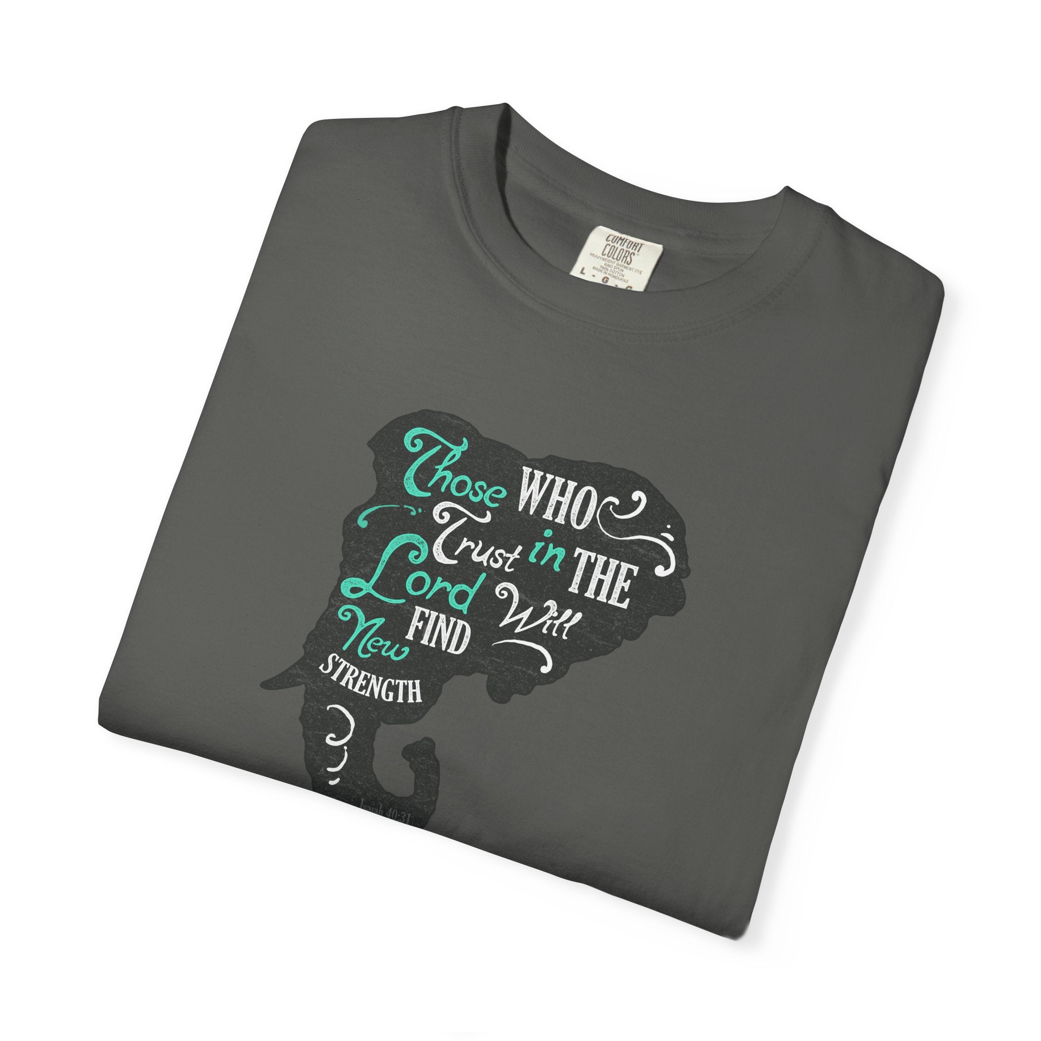Trust in the Lord Will Find Strength Christian T-Shirt - Sinful Threads