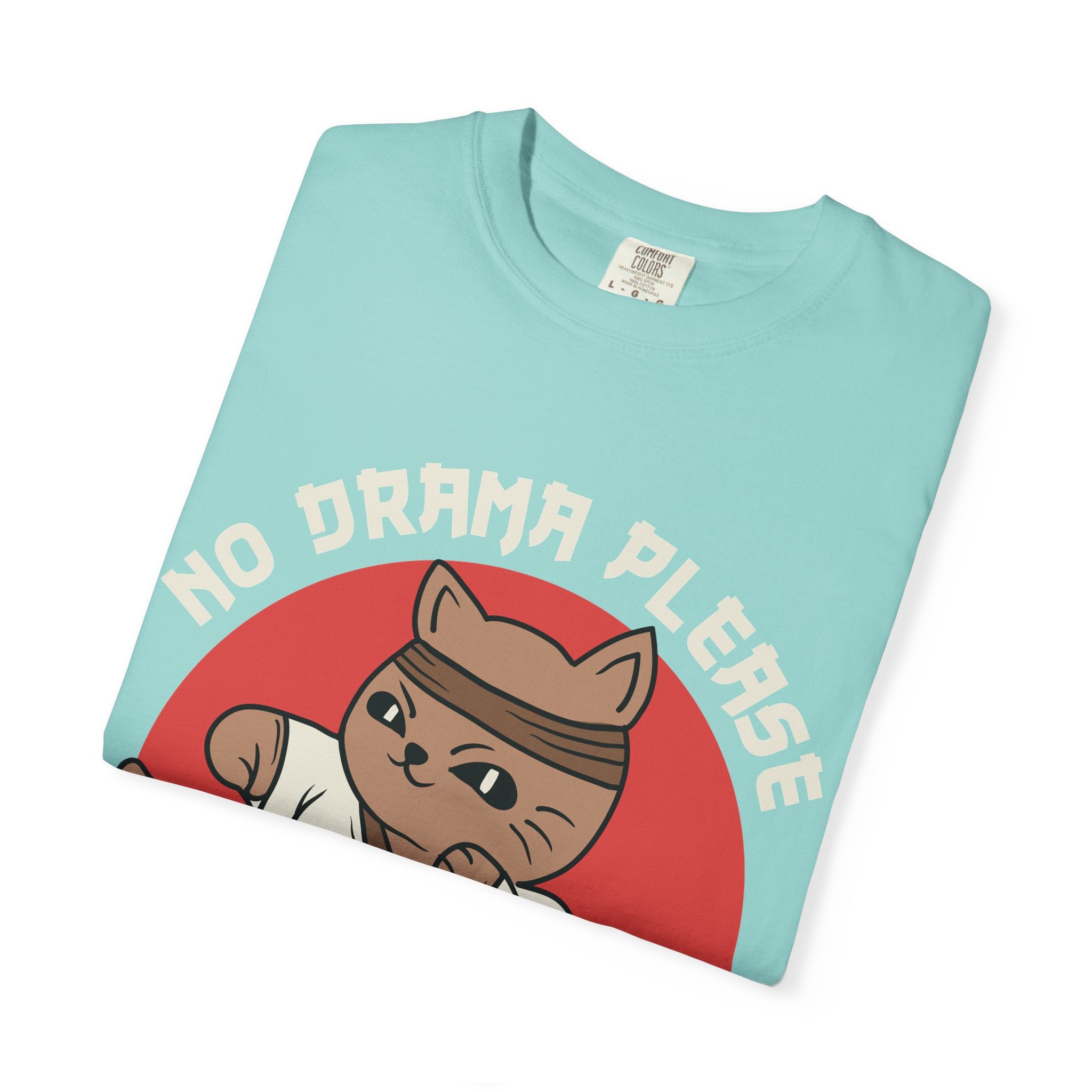Karate cat shirt - no drama please tee - funny gift - Sinful Threads