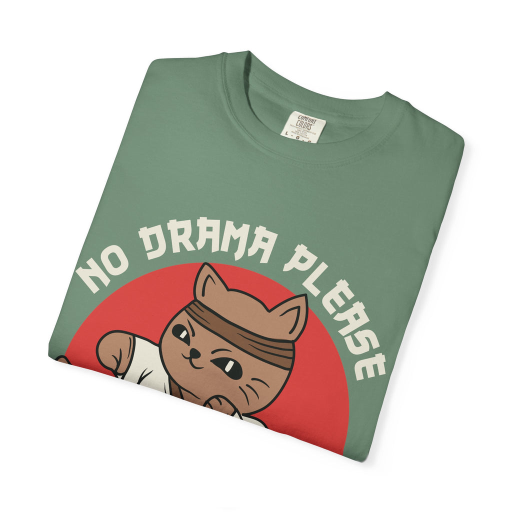 Karate cat shirt - no drama please tee - funny gift - Sinful Threads