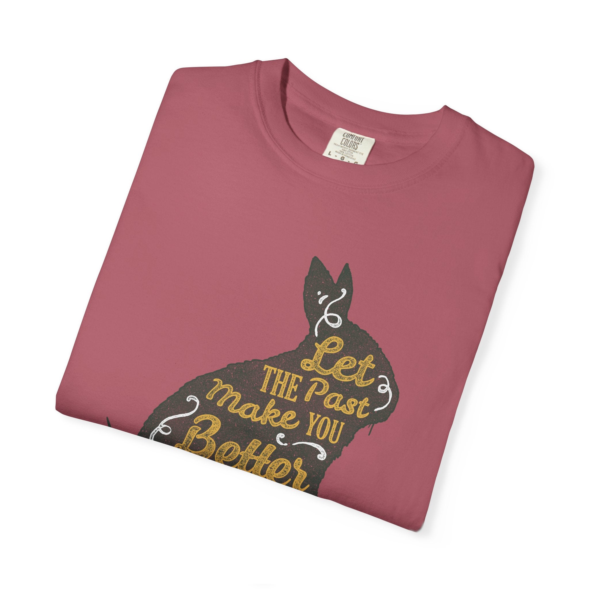 Let the Past Make You Better Graphic on Rabbit T-Shirt - Sinful Threads