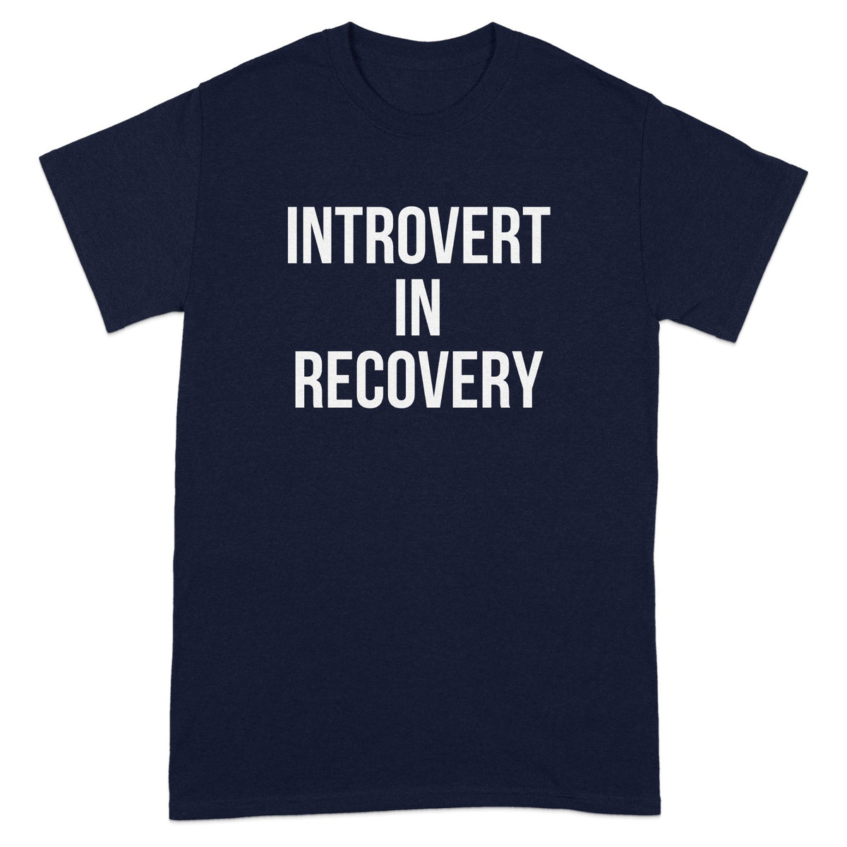 Introvert In Recovery Graphic T-shirt product type