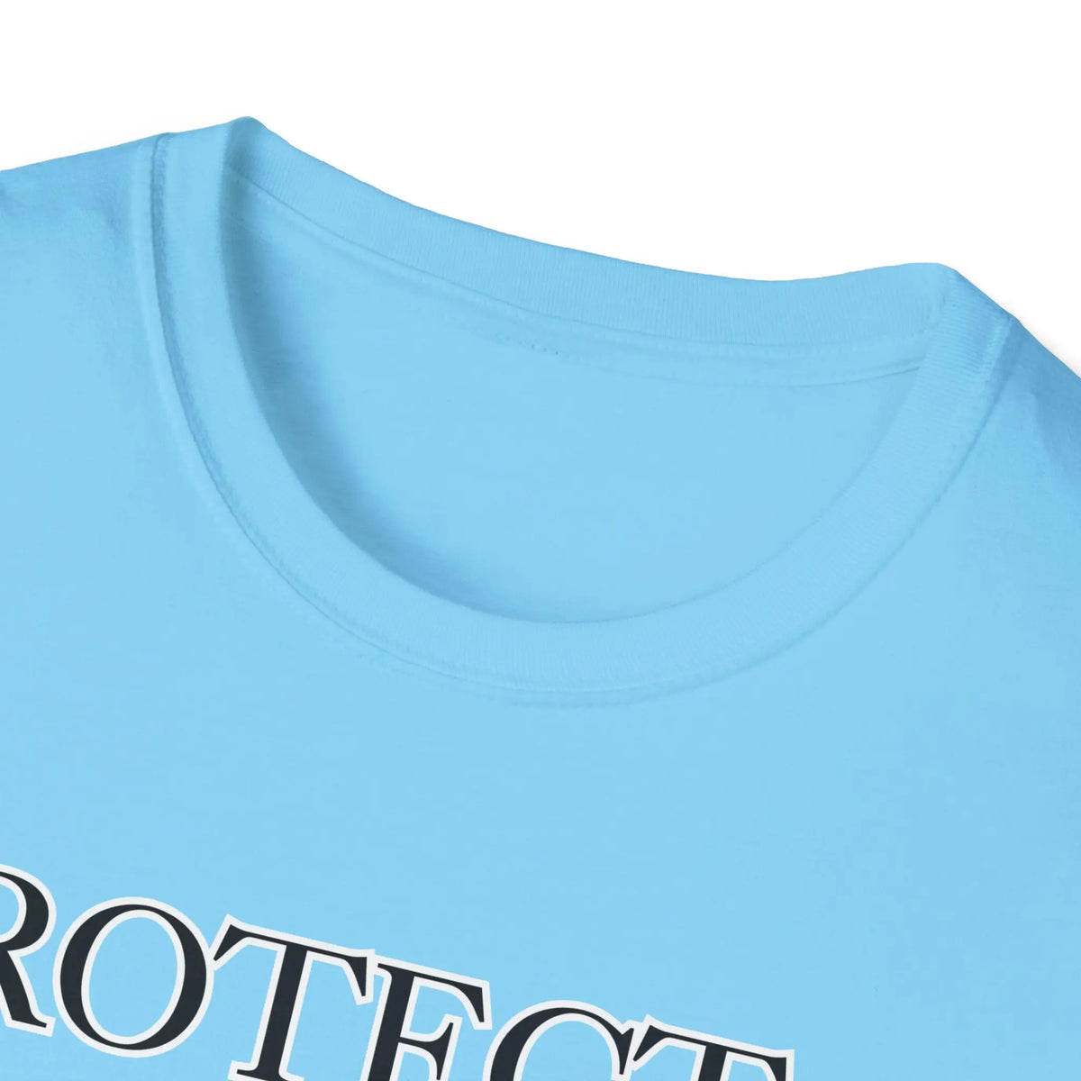 Protect The Dolls Tshirt - Trans Rights Support Apparel Printify