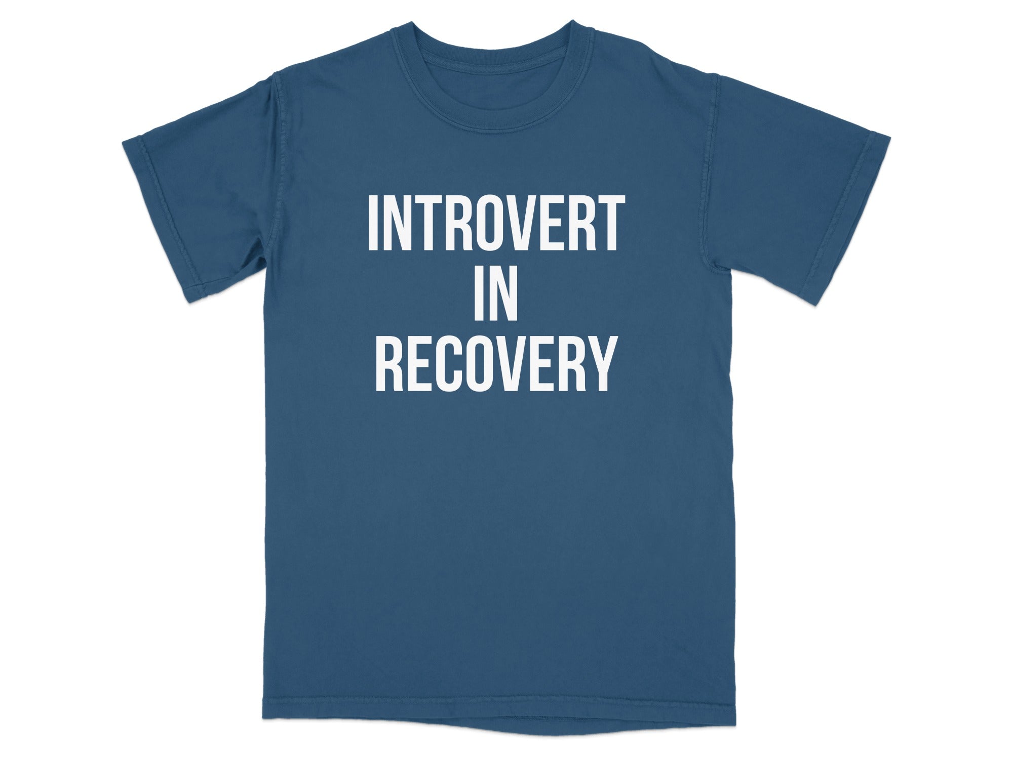Introvert In Recovery Statement T-Shirt product type