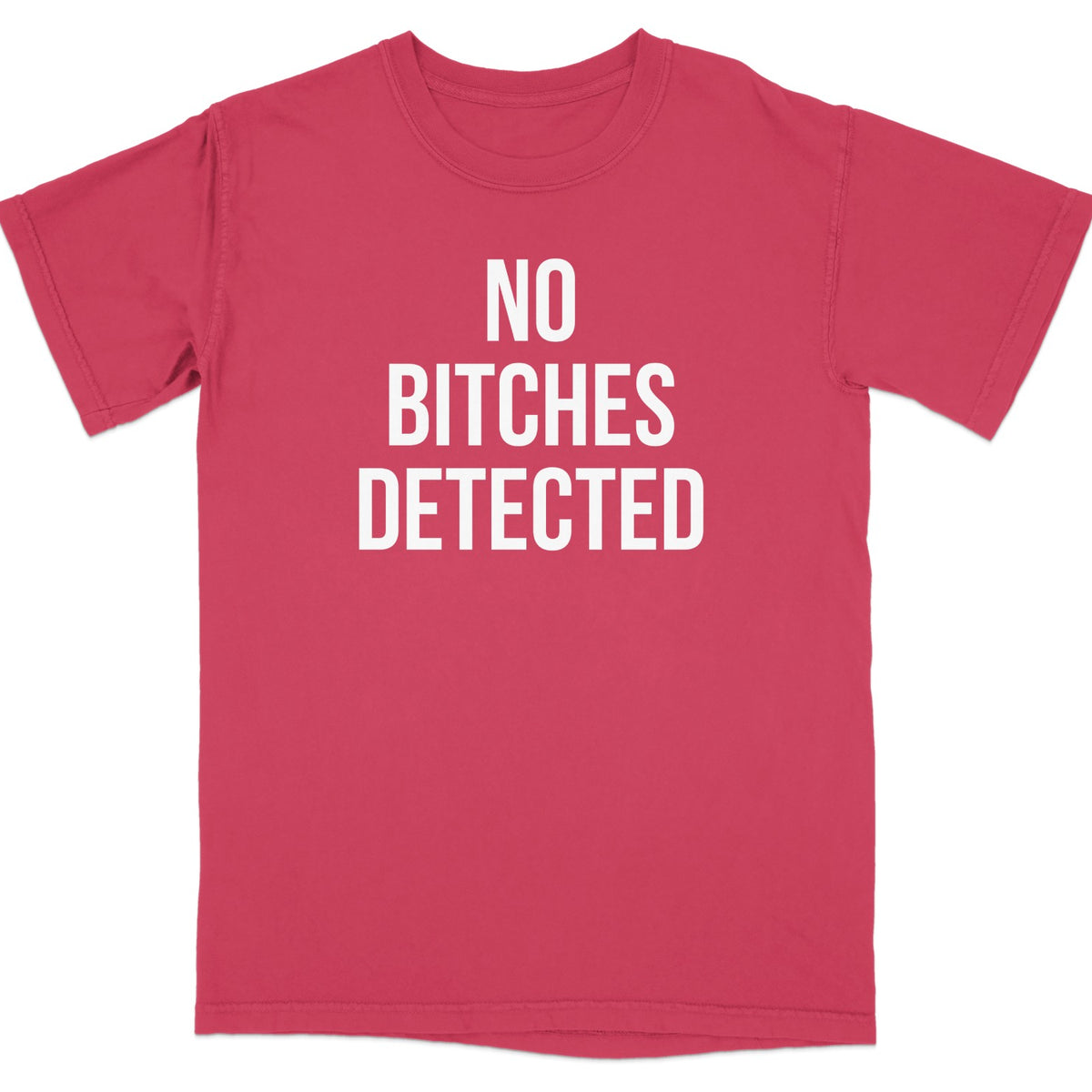 No Bitches Detected Graphic Statement Shirt product type