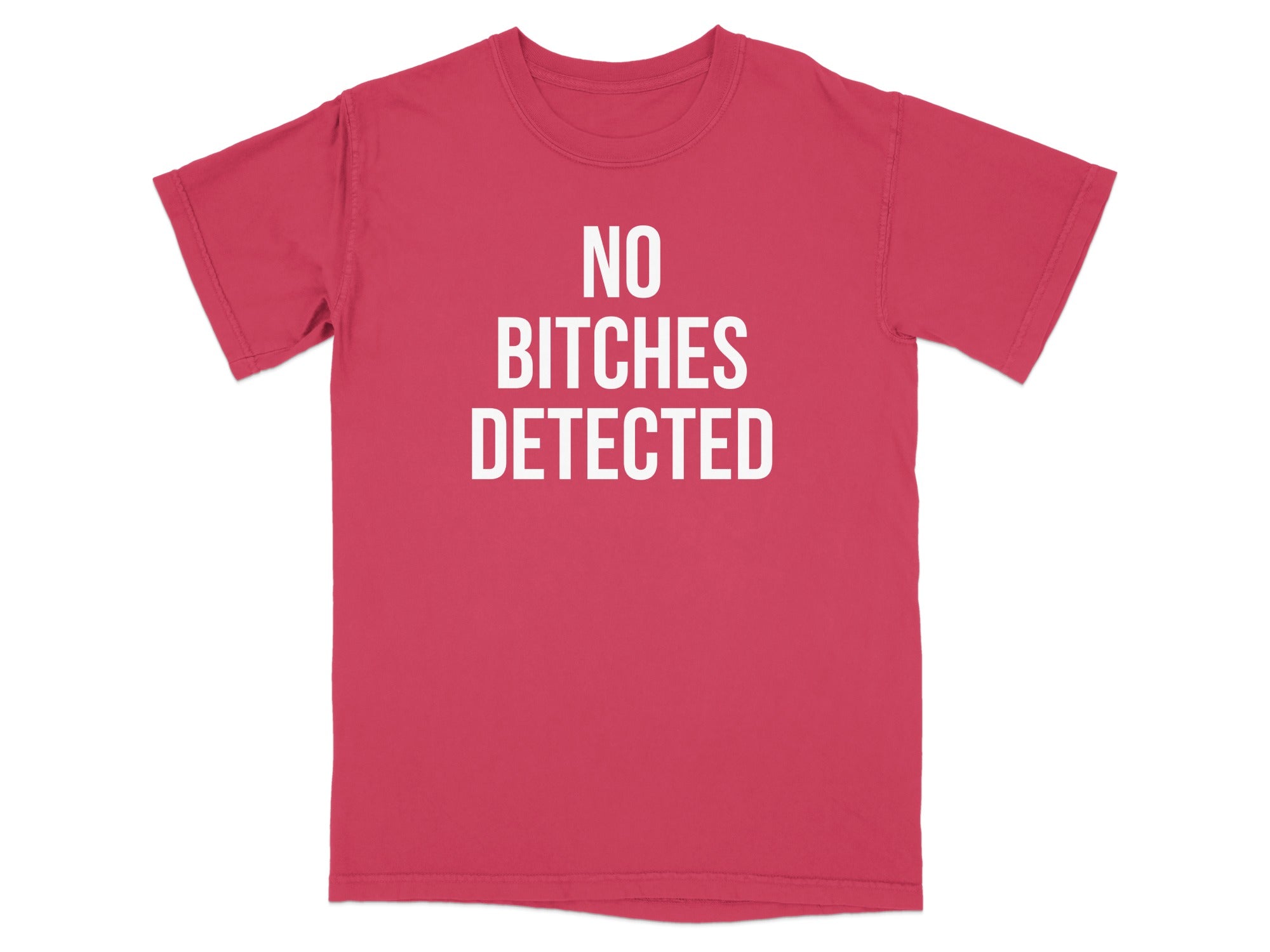 No Bitches Detected Graphic Statement Shirt product type