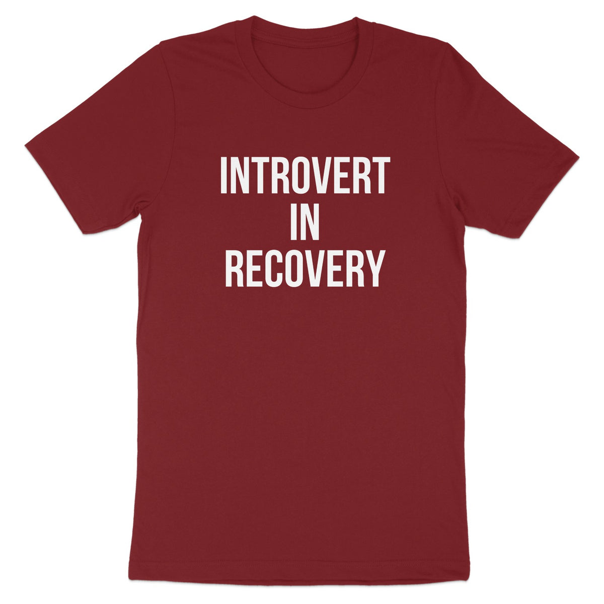 Introvert In Recovery Statement T-Shirt product