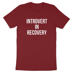 Introvert In Recovery Statement T-Shirt product