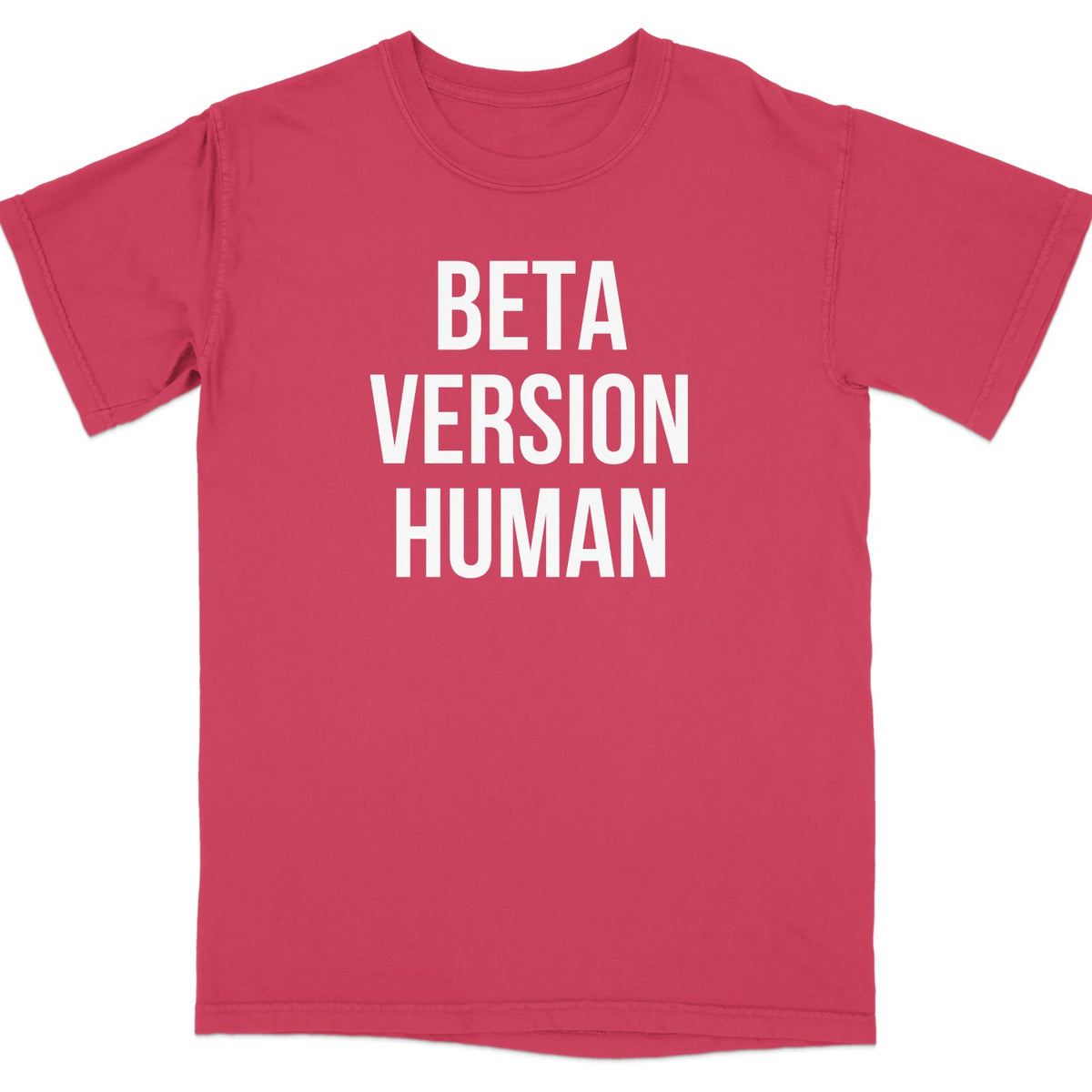 Beta Version Human Graphic T-Shirt product