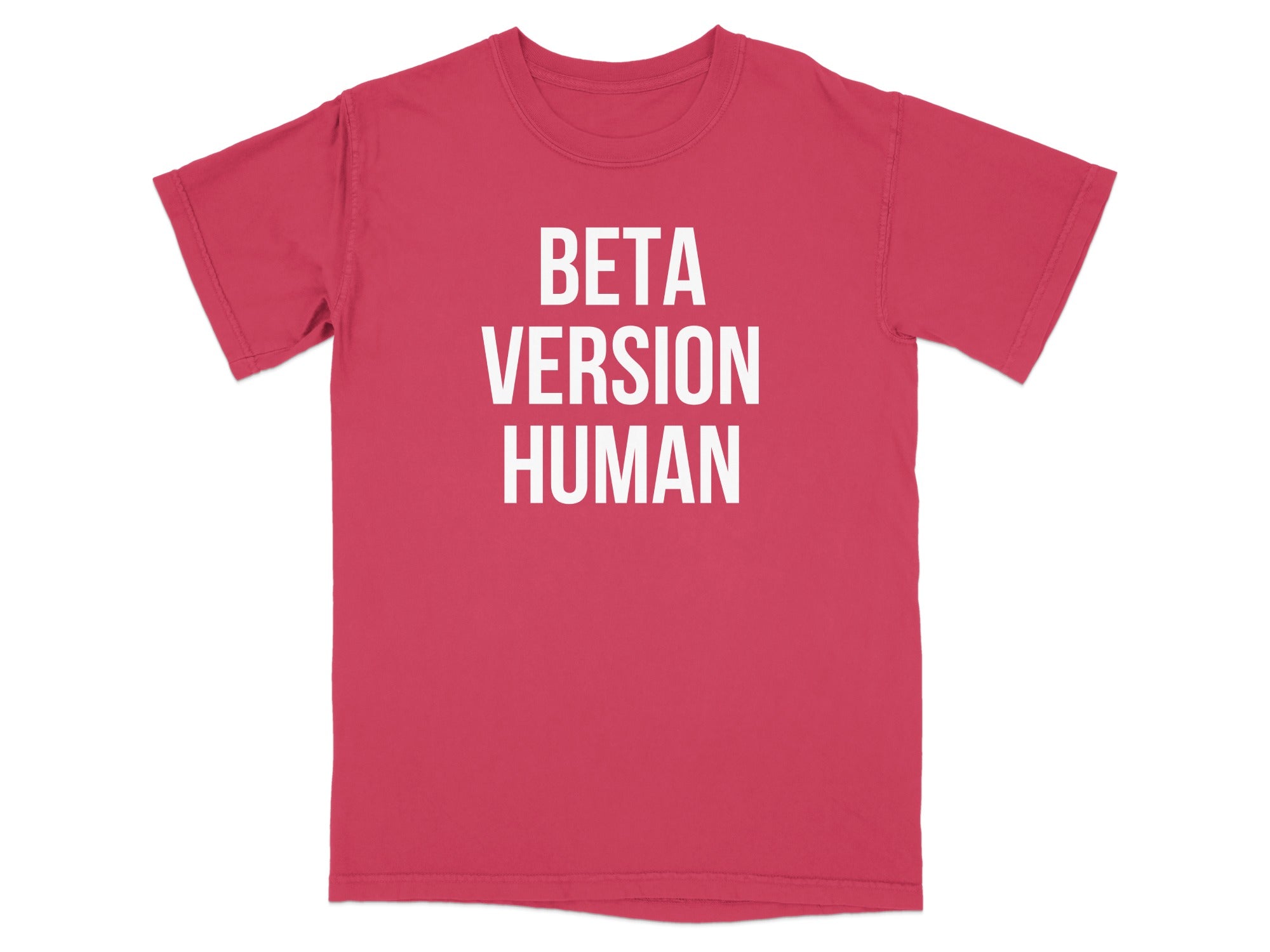 Beta Version Human Graphic T-Shirt product