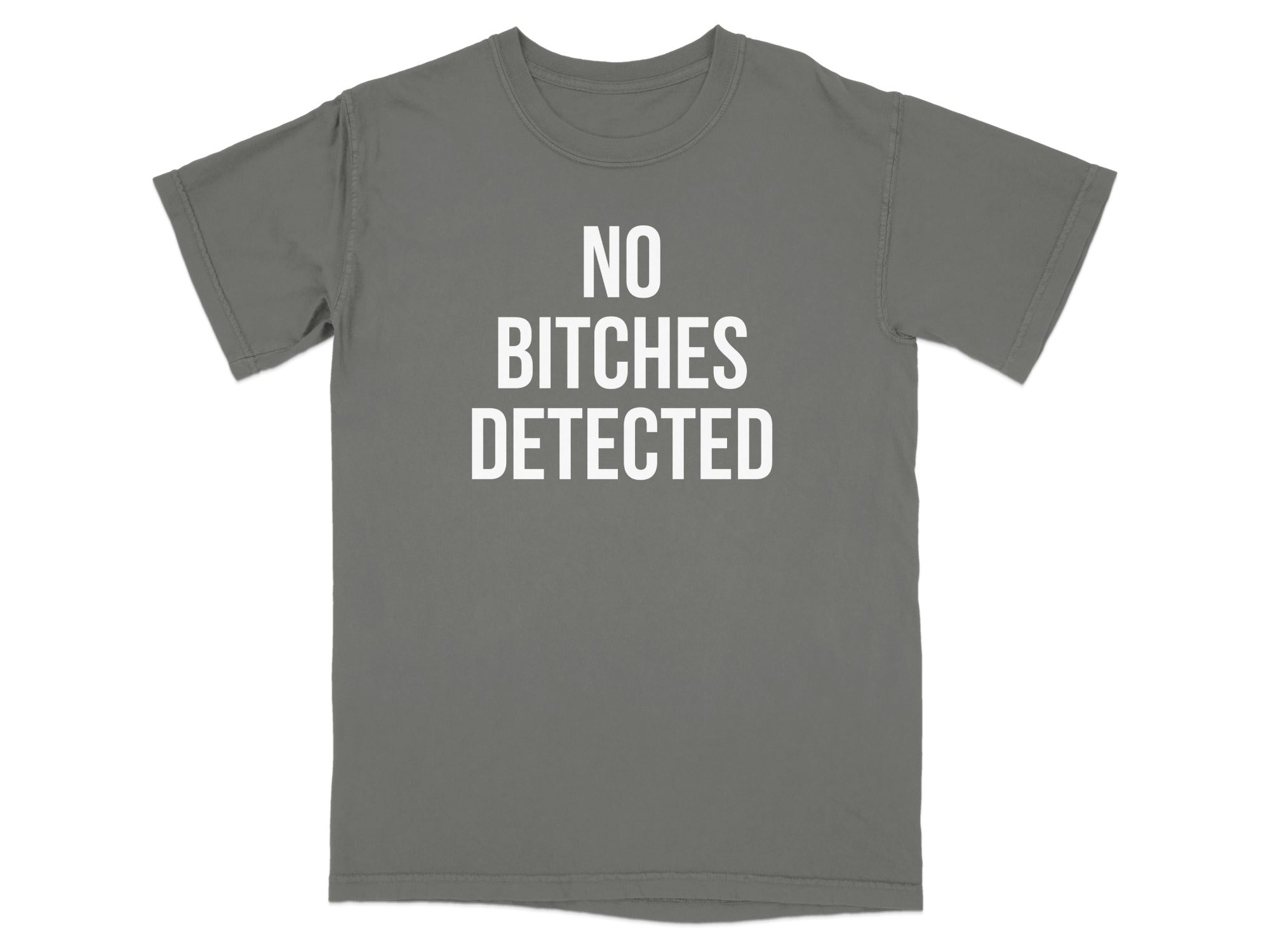 No Bitches Detected Graphic Tee Shirt product