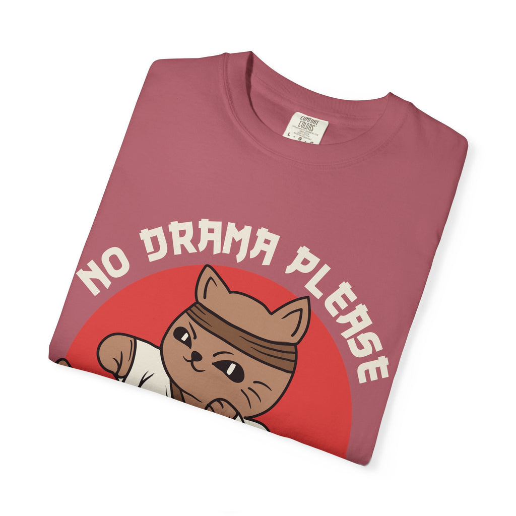 Karate cat shirt - no drama please tee - funny gift - Sinful Threads