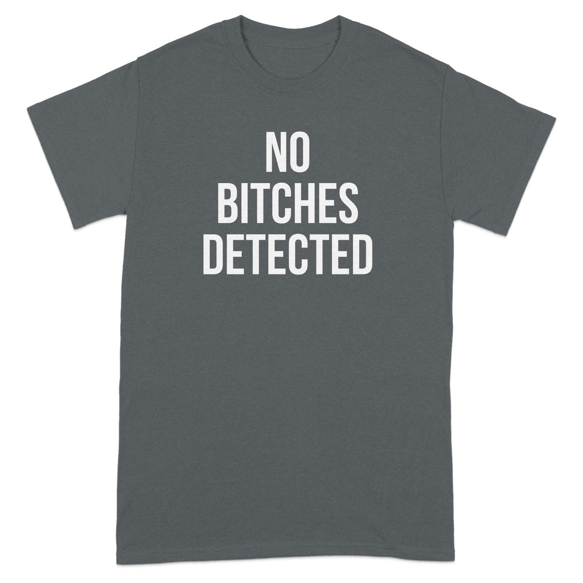 No Bitches Detected Graphic T-shirt product type
