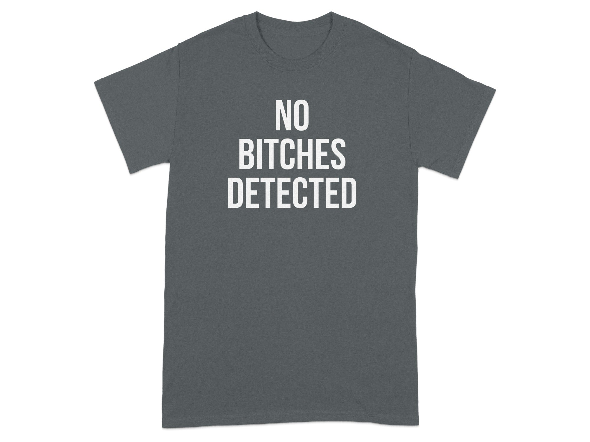 No Bitches Detected Graphic T-shirt product type