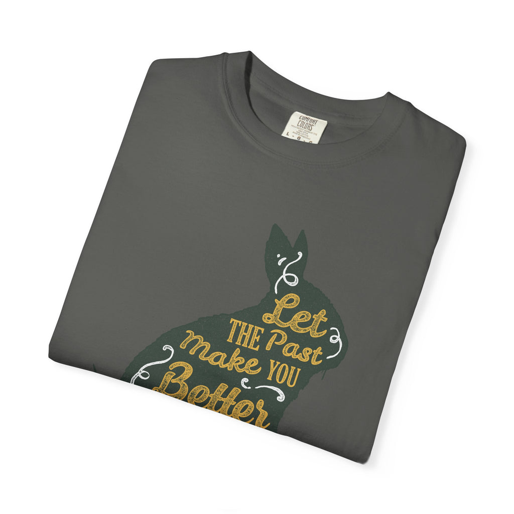 Let the Past Make You Better Graphic on Rabbit T-Shirt - Sinful Threads