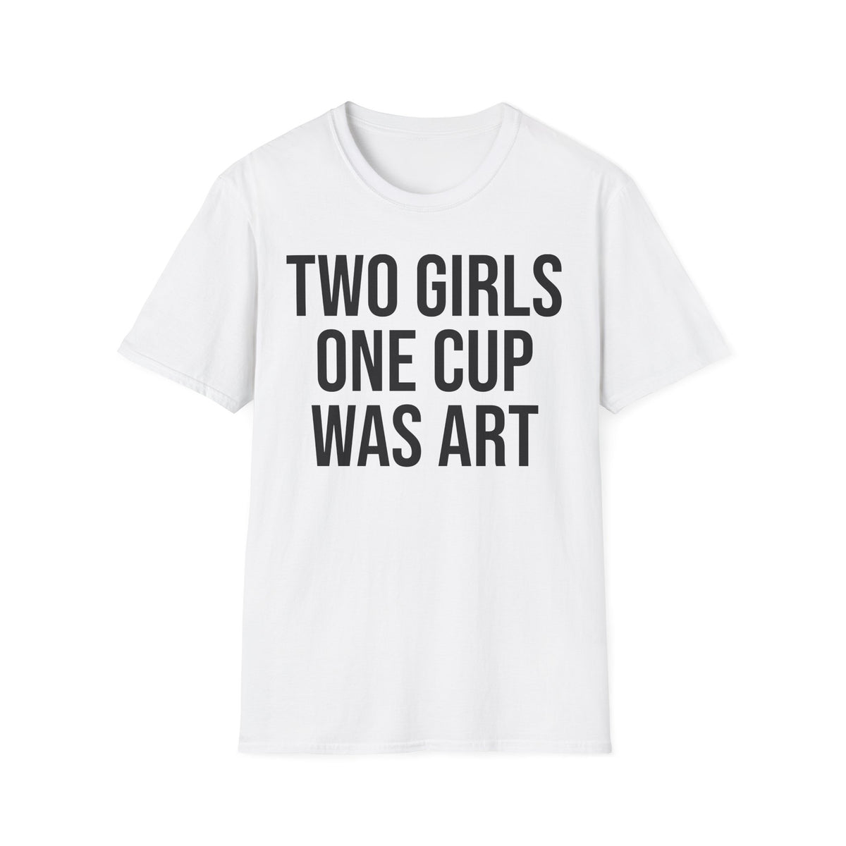 2 Girls 1 Cup Was Art - Funny Statement Shirt
