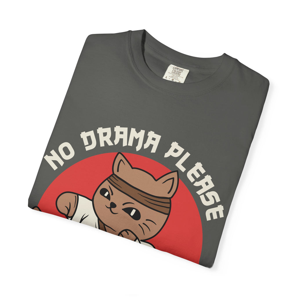 Karate cat shirt - no drama please tee - funny gift - Sinful Threads
