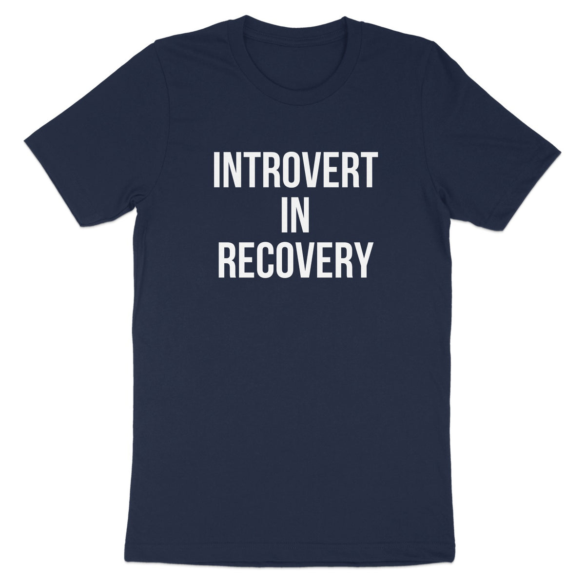 Introvert In Recovery Graphic Tee Shirt product type