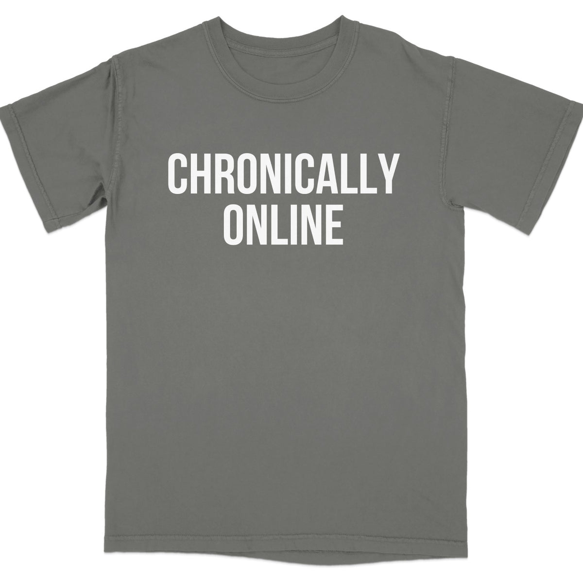 Chronically Online Fun Graphic T-Shirt product type