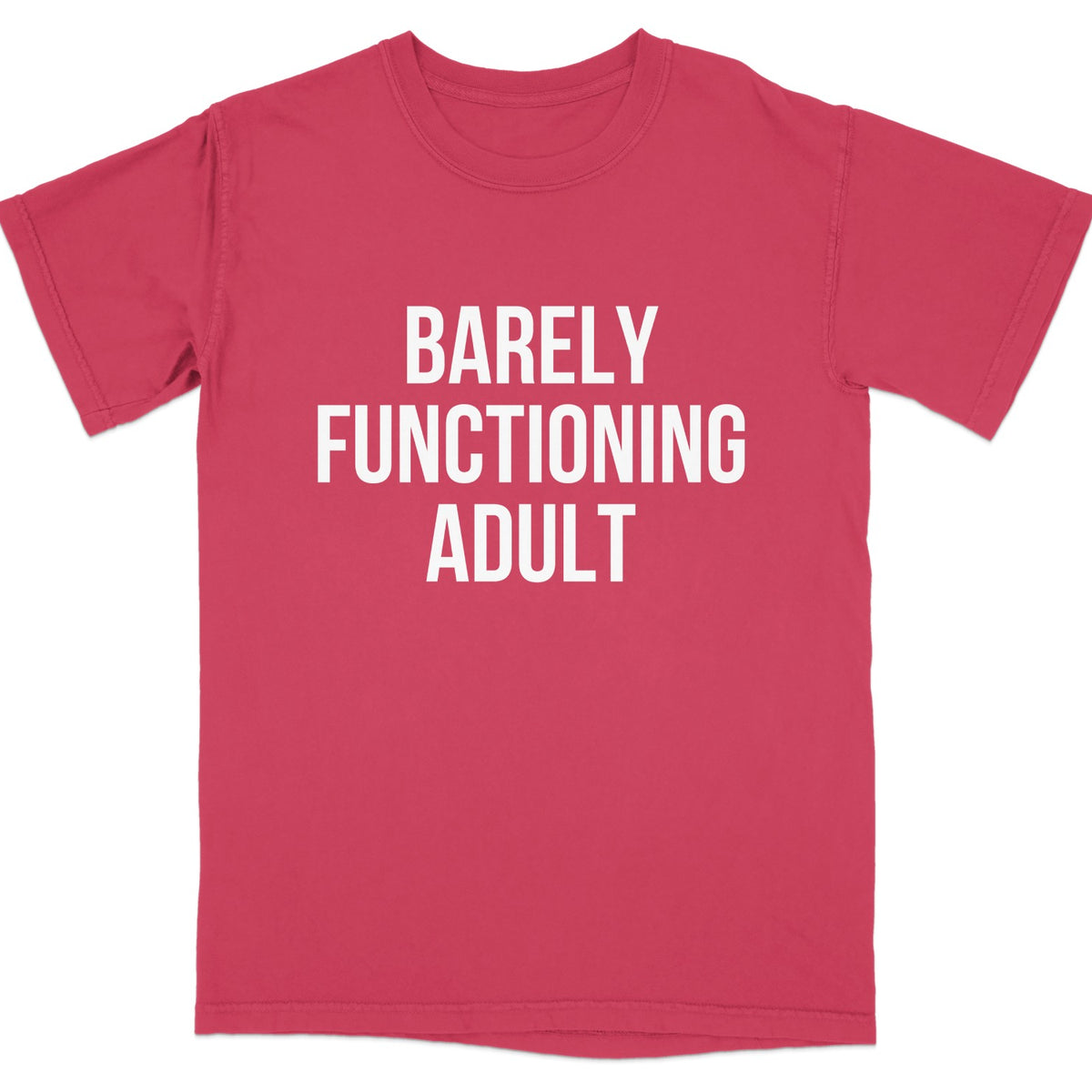 Barely Functioning Adult Graphic T-Shirt product type