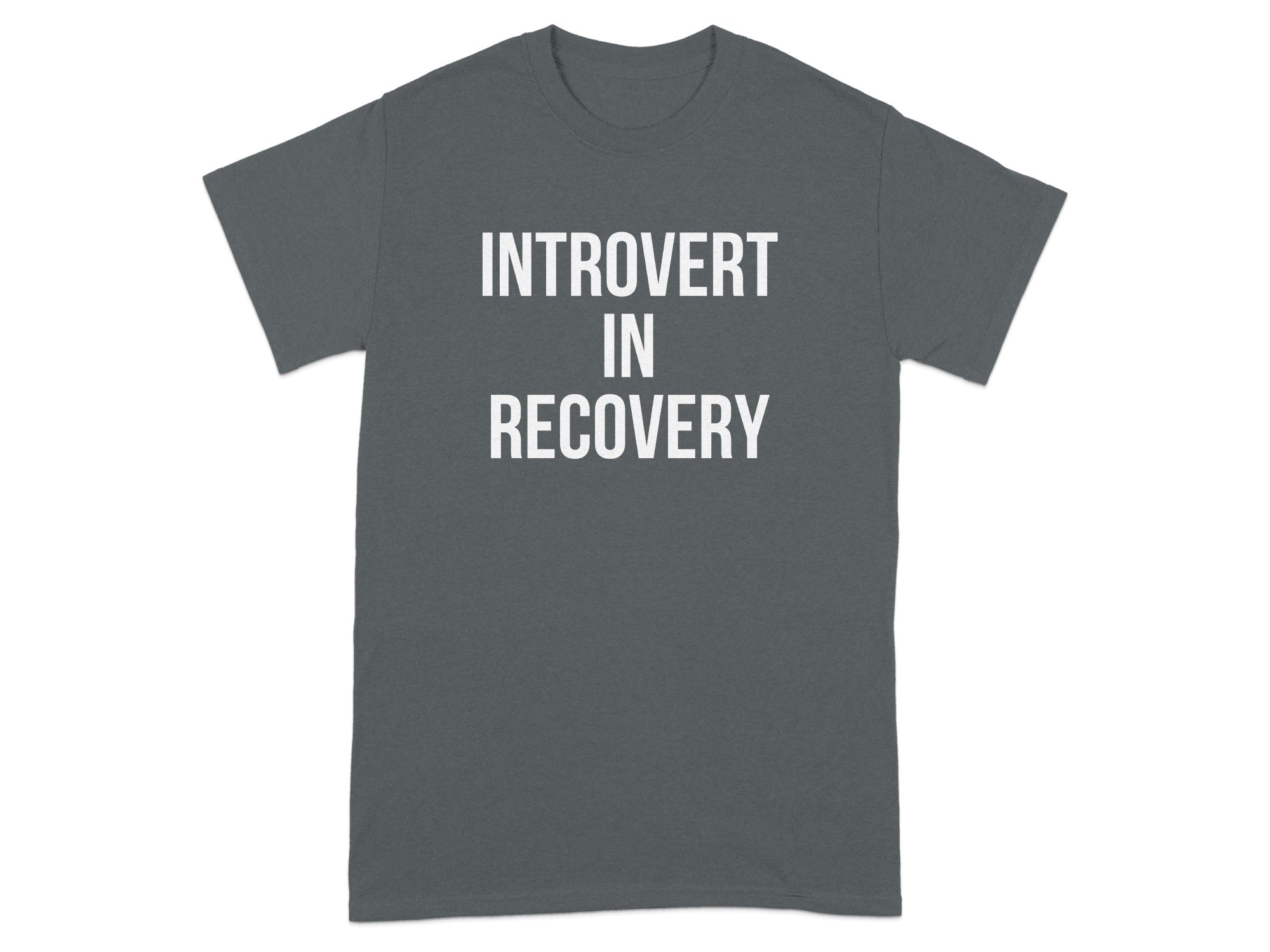 Introvert In Recovery Graphic Printed T-shirt product type