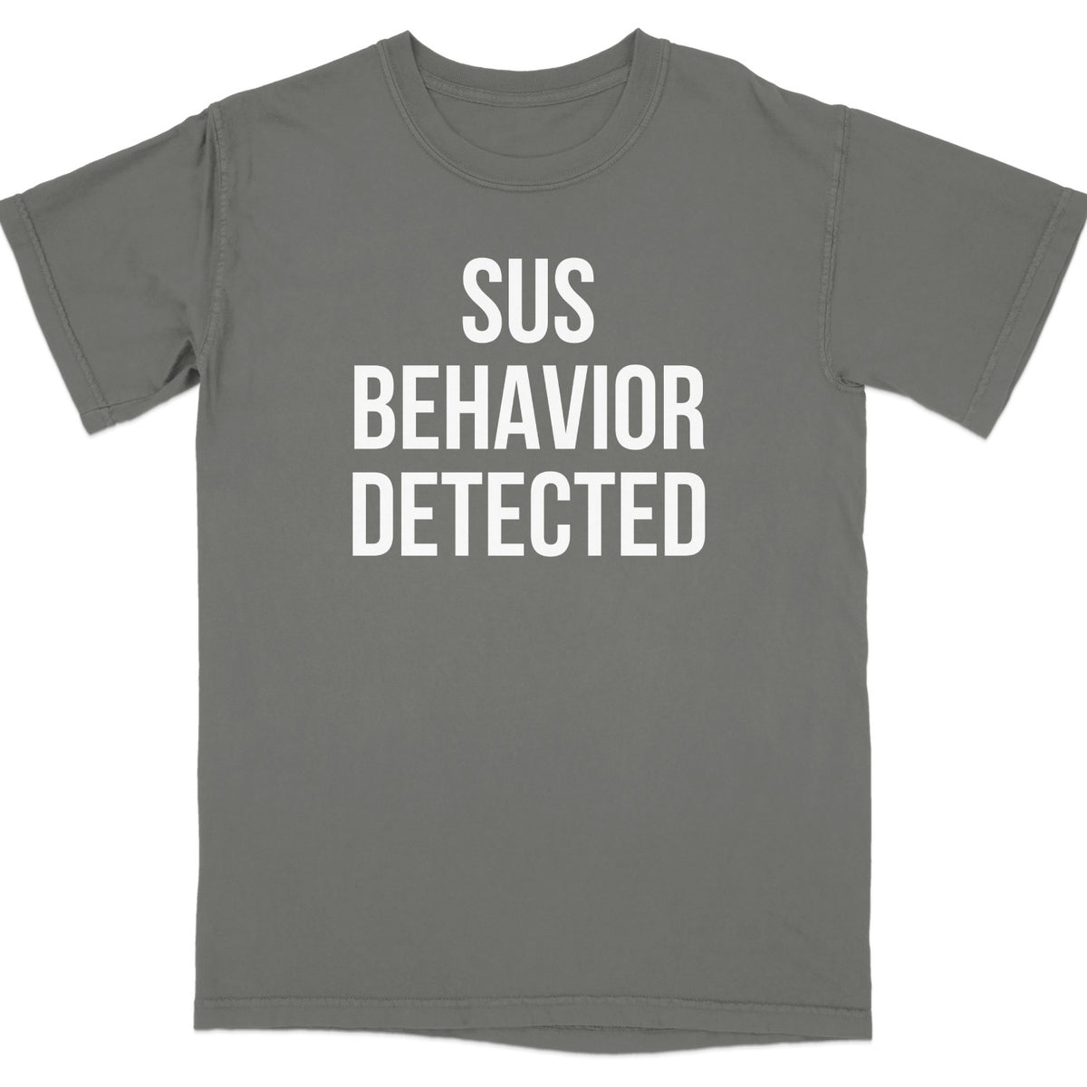 Sus Behavior Detected Graphic T-Shirt product type