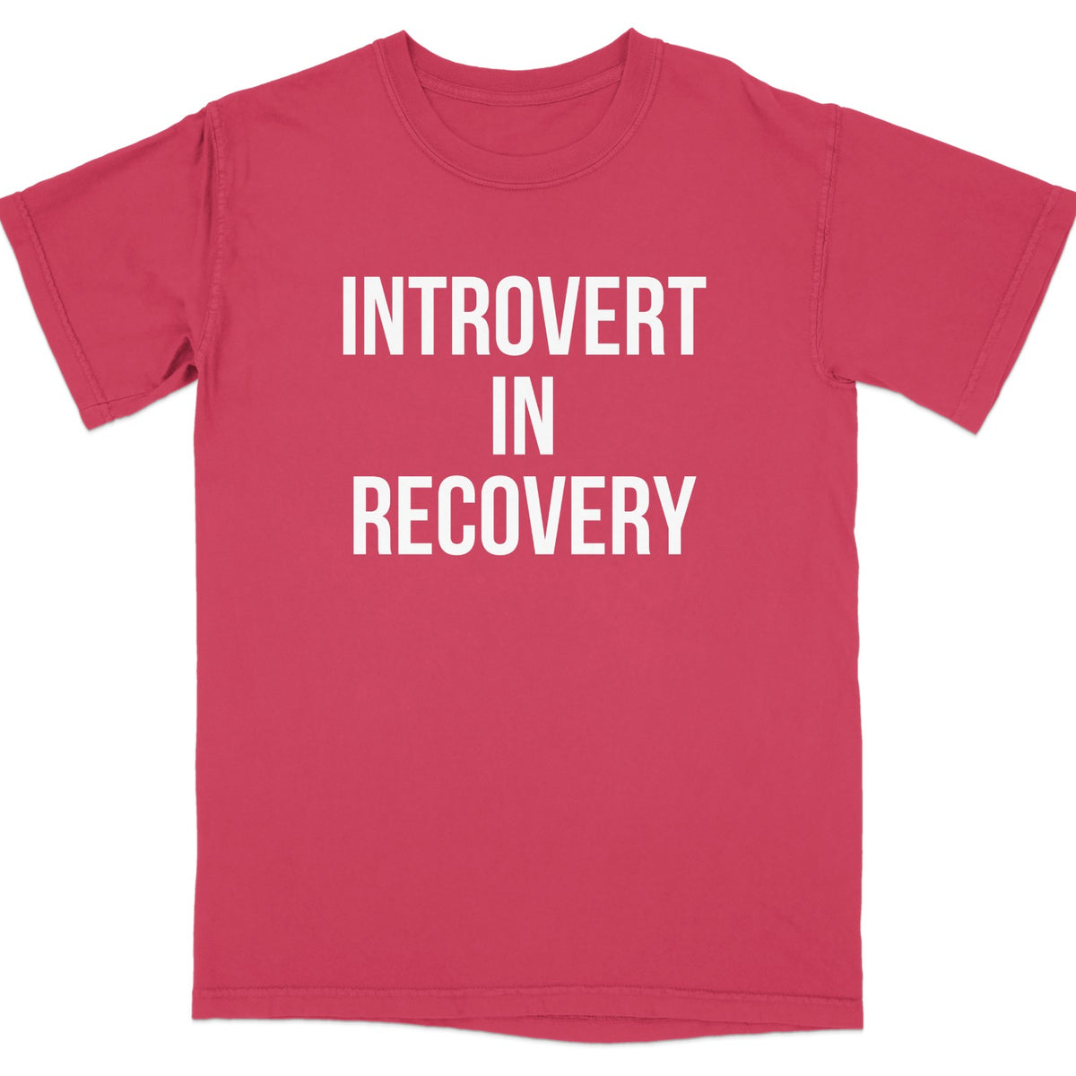 Introvert In Recovery T Shirt Fun Graphic Tee product