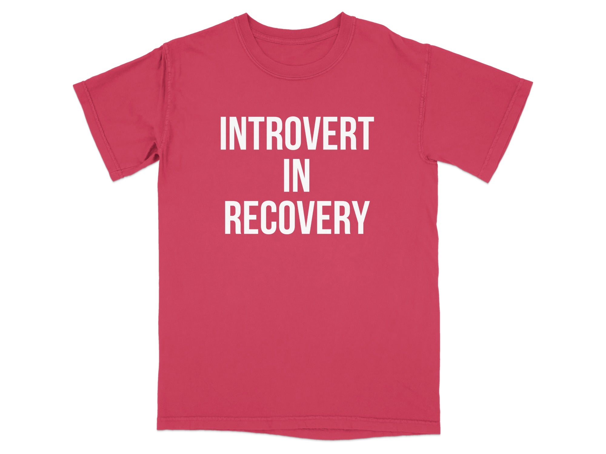 Introvert In Recovery T Shirt Fun Graphic Tee product