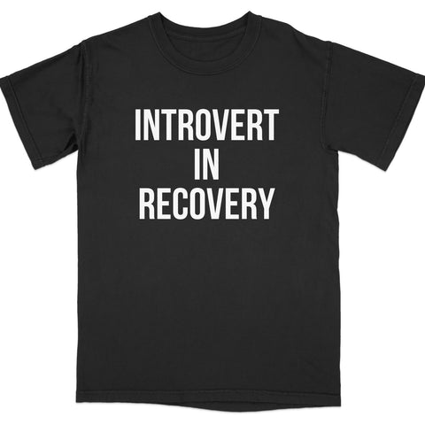 Introvert in Recovery T-shirt Casual Wear Product