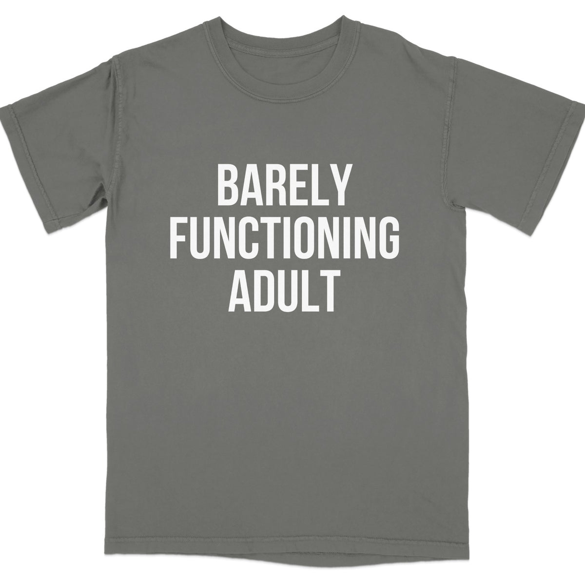 Barely Functioning Adult Statement T-shirt Product Type